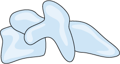 Cervical spine